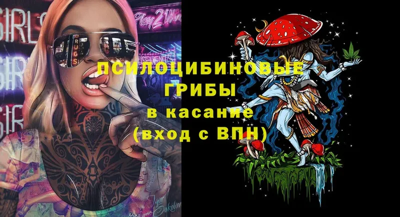 Псилоцибиновые грибы мицелий  Инсар 